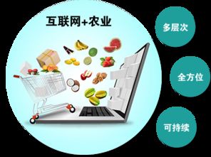 農(nóng)產(chǎn)品觸網(wǎng) 互聯(lián)網(wǎng)時(shí)代，誰是下一個(gè)超級代言人？
